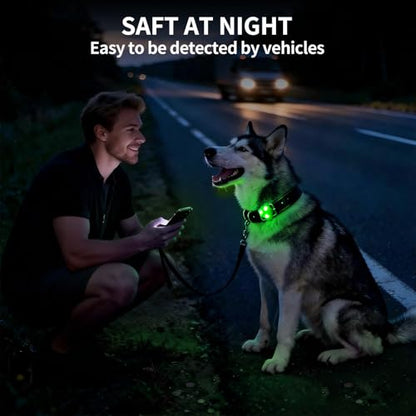 LaRoo Dog Lights - Led Collar Lights for Nighttime Walking - color: Green-A