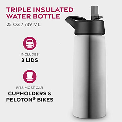 FineDine Insulated Water Bottle with Straw, 25 Oz, Brushed Stainless Steel - color: Brushed Stainless Steel, size: 25 Ounces
