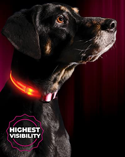 ILLUMISEEN LED Dog Collar USB Rechargeable - Bright & High Visibility Lighted Glow Collar for Pet Night Walking - Weatherproof, in 6 Colors & 6 Sizes (Pink X-Large) - color: Cotton Candy Pink, size: X-Large (XL) - 21.6" - 27.5"