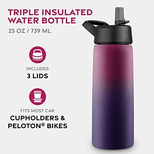 FineDine Insulated Water Bottle with Straw, 25 Oz, Dreamy Purple - color: Dreamy Purple, size: 25 Ounces