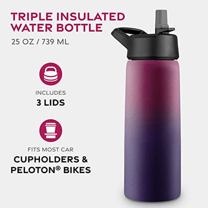 FineDine Insulated Water Bottle with Straw, 25 Oz, Dreamy Purple - color: Dreamy Purple, size: 25 Ounces