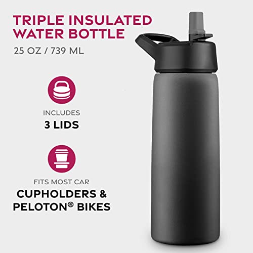 FineDine Insulated Water Bottle with Straw, 25 Oz, Inky Raven Black - color: Inky Raven Black, size: 25 Ounces