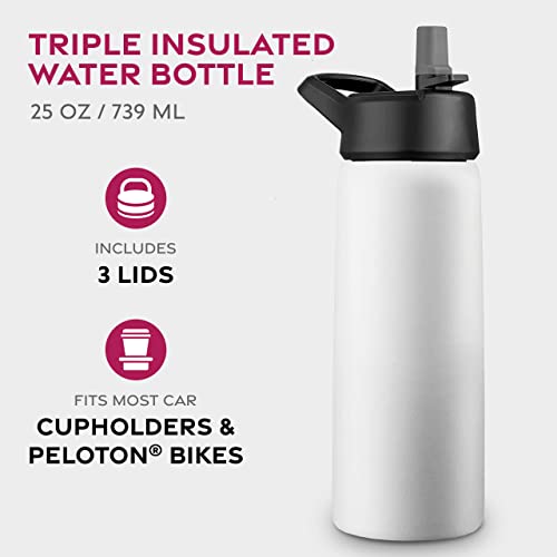 FineDine Insulated Water Bottle with Straw, 25 Oz, Pure Pearly White - color: Pure Pearly White, size: 25 Ounces