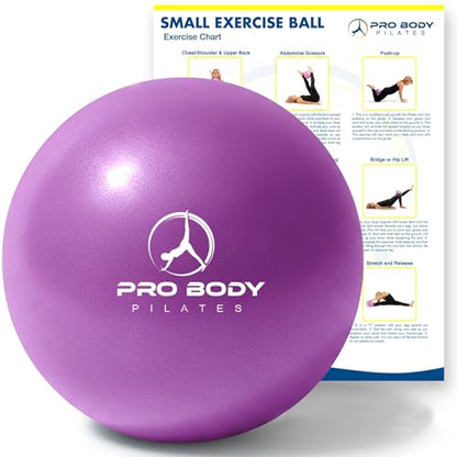 ProBody Pilates Ball Small — 9 Inch Small Exercise Ball - color: Purple