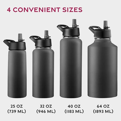 FineDine Insulated Water Bottle with Straw, 25 Oz, Inky Raven Black - color: Inky Raven Black, size: 25 Ounces