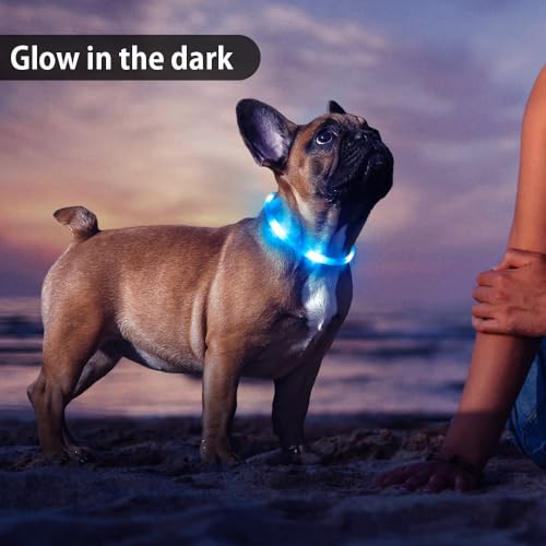 Led Dog Collar, BSEEN Light Up Dog Collars USB Rechargeable Flash Dog Necklace, Silicone Cuttable Lighted Puppy Collar, Glowing Dog Walking Lights for Small Dogs& Cats (Blue-XS(40cm)) - color: Blue-XS(40cm)