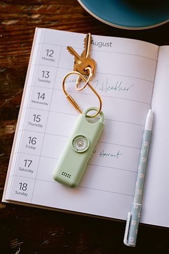 She’s Birdie 3.0 New Version – The Original Personal Safety Alarm for Women by Women–Loud Siren, Flash Light and Rechargeable Battery in a Variety of Colors (Charcoal Black) - color: Charcoal Black