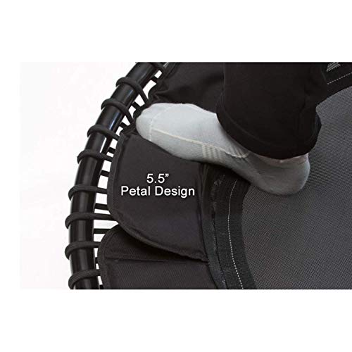 JumpSport 250 Fitness Rebounder Mini Trampoline in Home Cardio Fitness (2 Pack)
