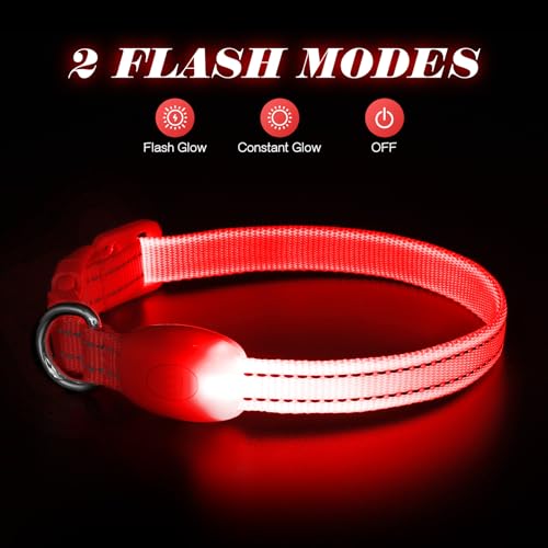Light Up Dog Collar for Small Dogs (Red) - color: Red