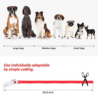 BSEEN Light Up Dog Collar, Silicone LED Dog Collar Rechargeable Cat Collar Cuttable Glowing Puppy Necklace Safety Dog Lights for Night Walking (Red) - color: Red-Standard(70cm)