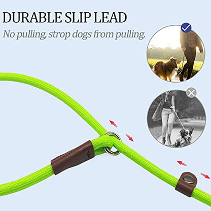 MayPaw Slip Lead Control Leash for Dogs No Pull, 13+ Colors Classic Dog Lead 7 FT Pet Slip Leash, 1/4” Rope Leashes for Small Medium Animals (7ft*1/4", Green) - color: green