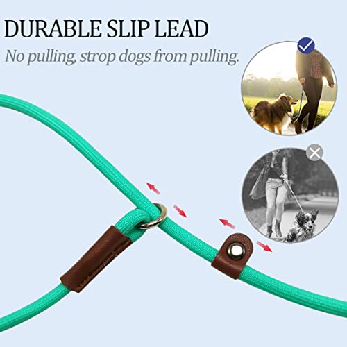 MayPaw Slip Lead Control Leash for Dogs No Pull, 13+ Colors Classic Dog Lead 7 FT Pet Slip Leash, 1/4” Rope Leashes for Small Medium Animals (7ft*1/4", Turquoise) - color: turquoise