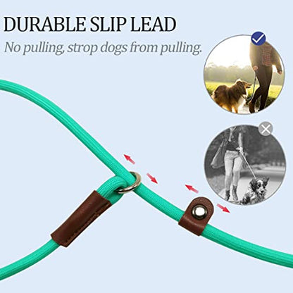 MayPaw Slip Lead Control Leash for Dogs No Pull, 13+ Colors Classic Dog Lead 7 FT Pet Slip Leash, 1/4” Rope Leashes for Small Medium Animals (7ft*1/4", Turquoise) - color: turquoise