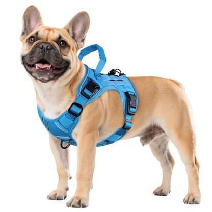 WINGOIN Blue Tactical Dog Harness for Small Dogs,No Pull Dog Harness - color: Blue, size: Small: 15-30 lbs (Chest:20-26",Neck:15-18")