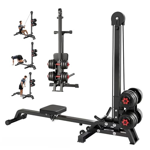 Foldable Rowing Machine with Dumbbell Weight System - Adjustable Resistance Home Gym for Full Body Workout, Strength & Cardio Training with Pull Down Bar (Dumbbells Not Included)
