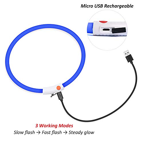 BSEEN Light Up Dog Collar, Cuttable LED Dog Collar Rechargeable Puppy Collar Glowing Safety Dog Walking Lights for Small Medium Large Dogs (Blue) - color: Blue-Standard(70cm)