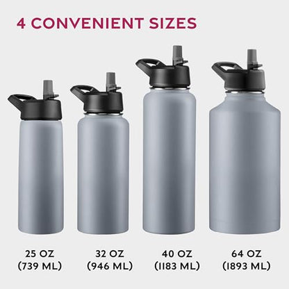 FineDine Insulated Water Bottle with Straw, 25 Oz, Modern Lava Gray - color: Modern Lava Gray, size: 25 Ounces