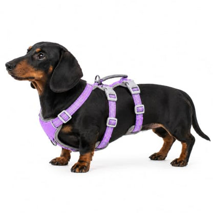 Huntboo Escape Proof Dog Harness, Escape Artist Harness, Reflective Harness with Padded Handle, Breathable, Adjustable Vest for Medium Dogs Walking, Training, and Running Gear（Lavender Purple, S - color: Lavender Purple, size: Small(Pack of 1)