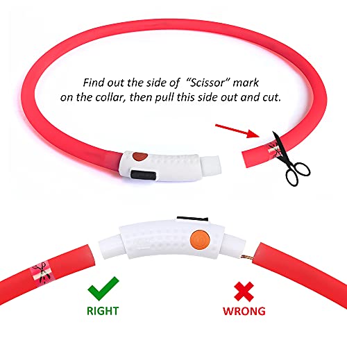 BSEEN Light Up Dog Collar, Silicone LED Dog Collar Rechargeable Cat Collar Cuttable Glowing Puppy Necklace Safety Dog Lights for Night Walking (Red) - color: Red-Standard(70cm)