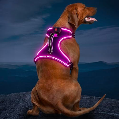 Light Up Dog Harness, Rechargeable LED Dog Vest for Night Walking - color: Purple-Pink, size: XL