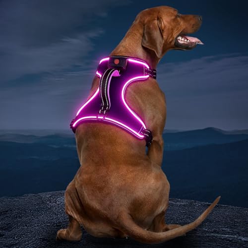 Light Up Dog Harness, Rechargeable LED Dog Vest for Night Walking - color: Purple-Pink, size: L