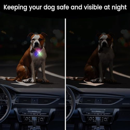 Dog Collar Light, 2 Pack Rechargeable Dog Light Clip On, 80LM Brightness 4 Color Modes Dogs Lights for Night Walking, Waterproof Pet Camping Essentials for Running, Cycling, Hiking (White)