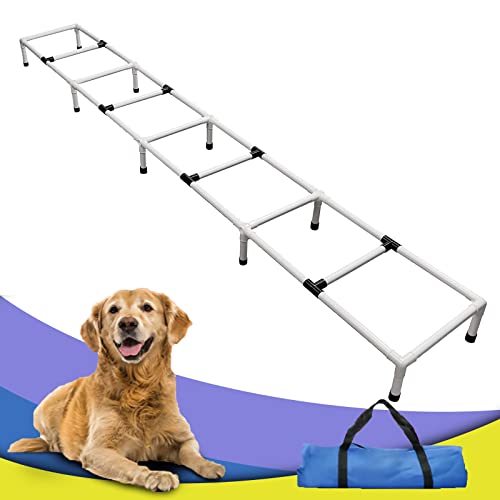 Dogs Agility Training Ladder, Pets Agility Training Equipment, Pet Outdoor Game