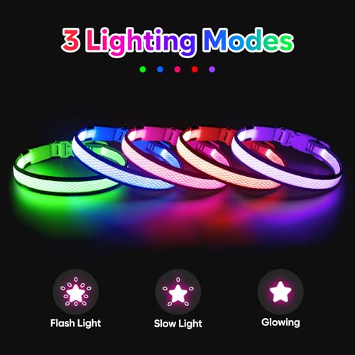 Flashseen LED Dog Collar, Light Up Dog Collar USB Rechargeable, Red, S - color: Red, size: Small