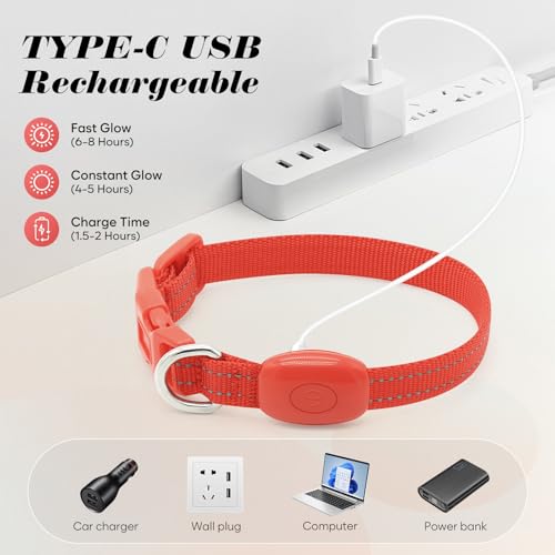 Light Up Dog Collar for Small Dogs (Red) - color: Red