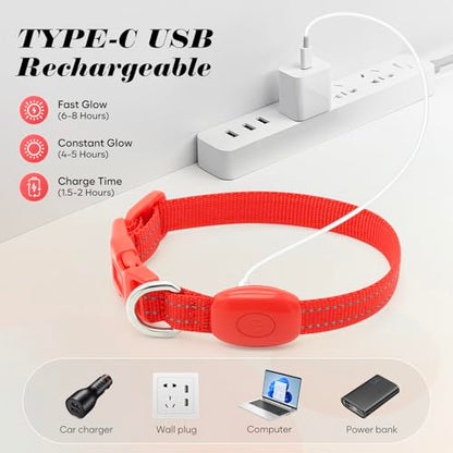 Light Up Dog Collar for Small Dogs (Red) - color: Red
