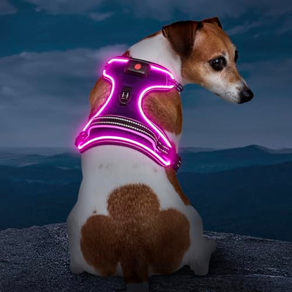 Light Up Dog Harness, Rechargeable LED Dog Vest for Night Walking - color: Purple-Pink, size: XS