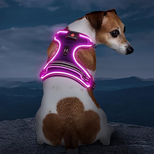 Light Up Dog Harness, Rechargeable LED Dog Vest for Night Walking - color: Purple-Pink, size: XS