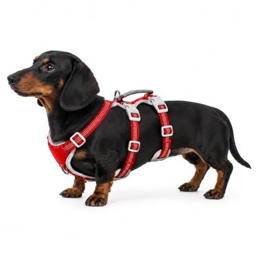 Huntboo Escape Proof Dog Harness, Escape Artist Harness, Reflective Harness with Padded Handle, Breathable, Durable, Adjustable Vest for Medium Dogs Walking, Training, and Running Gear (Red, S) - color: Red, size: Small(Pack of 1)