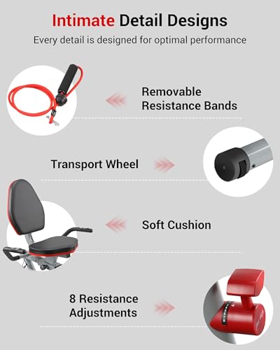 Recumbent Exercise Bike with Arm Exerciser for Home - color: black