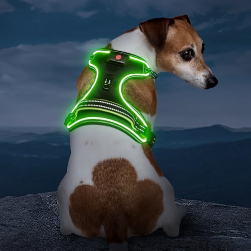 Light Up Dog Harness, Rechargeable LED Dog Vest for Night Walking - color: Black-Green, size: S