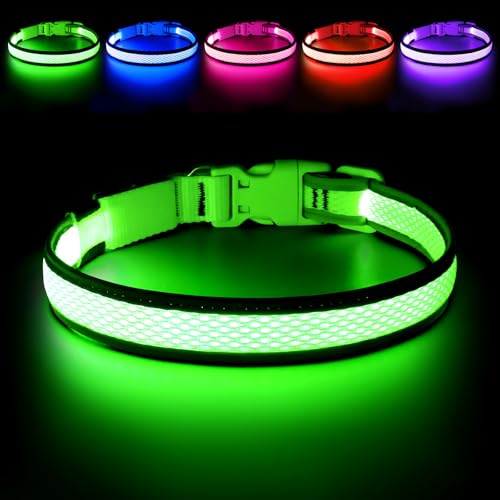 Flashseen LED Dog Collar, Light Up Dog Collar USB Rechargeable, Green, L - color: Green, size: Large