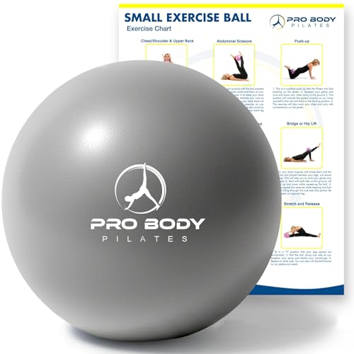 ProBody Pilates Ball Small — 9 Inch Small Exercise Ball - color: Silver