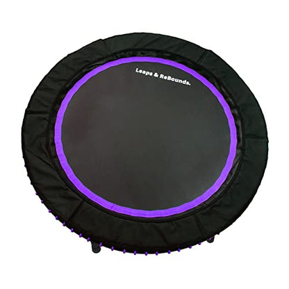 LEAPS & REBOUNDS Fitness Rebounder, 48 in, Stability Bar, Purple