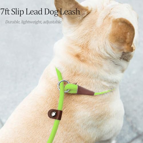 MayPaw Slip Lead Control Leash for Dogs No Pull, 13+ Colors Classic Dog Lead 7 FT Pet Slip Leash, 1/4” Rope Leashes for Small Medium Animals (7ft*1/4", Green) - color: green