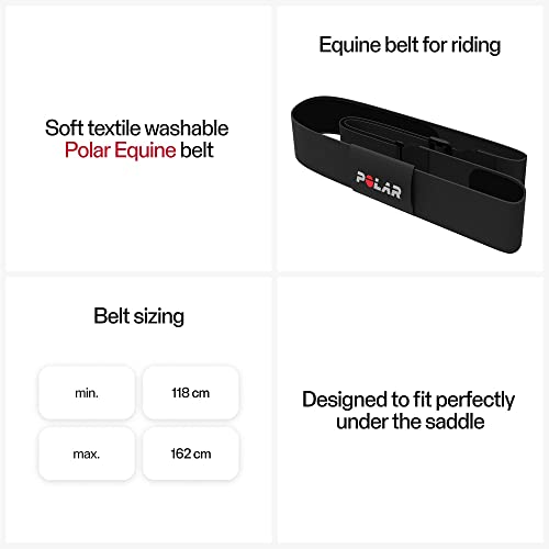 Polar Equine - Pferde Reitsport Trab - H10 Herzfrequenz-Sensor - Wasserdichter Pulssensor mit Brustgurt