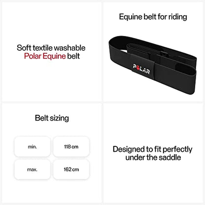 Polar Equine - Pferde Reitsport Trab - H10 Herzfrequenz-Sensor - Wasserdichter Pulssensor mit Brustgurt