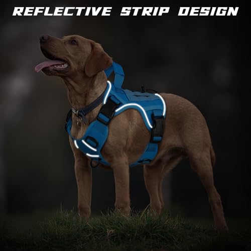 WINGOIN Blue Tactical Dog Harness for Small Dogs,No Pull Dog Harness - color: Blue, size: Small: 15-30 lbs (Chest:20-26",Neck:15-18")