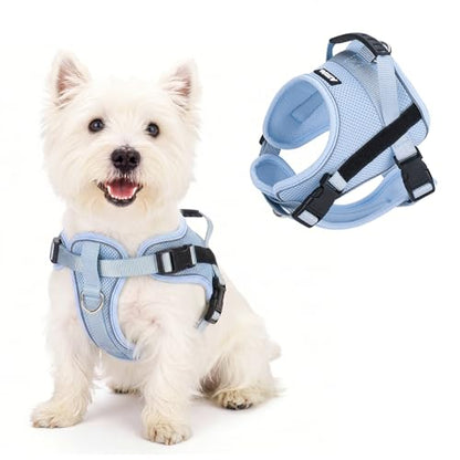 AIITLE No-Pull Dog Harness Reflective Mesh Vest Adjustable, Blue M - color: Blue, size: M