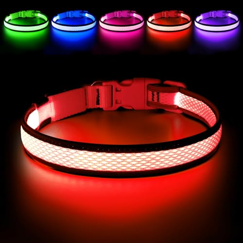Flashseen LED Dog Collar, Light Up Dog Collar USB Rechargeable, Red, L - color: Red, size: Large