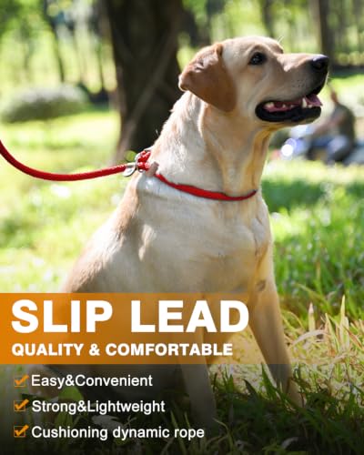Dog Leash Slip Lead Braided Rope Pet Training Loop Leashes 5ft 6ft 8ft - color: Red