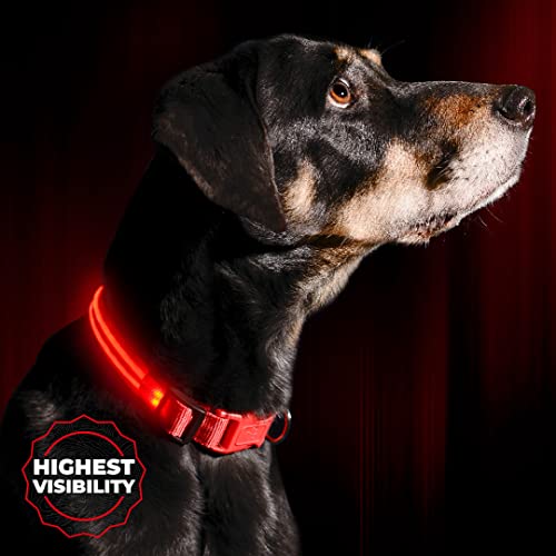 ILLUMISEEN LED Dog Collar USB Rechargeable - Bright & High Visibility Lighted Glow Collar for Pet Night Walking - Weatherproof, in 6 Colors & 6 Sizes (Red Large) - color: Ruby Red, size: Large (L) - 19" - 24"