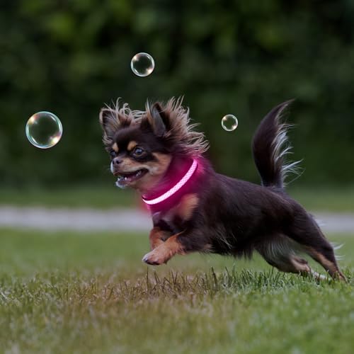 Flashseen LED Dog Collar, Light Up Dog Collar USB Rechargeable, Pink, XS - color: Pink, size: X-Small