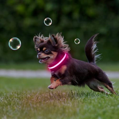 Flashseen LED Dog Collar, Light Up Dog Collar USB Rechargeable, Pink, XS - color: Pink, size: X-Small
