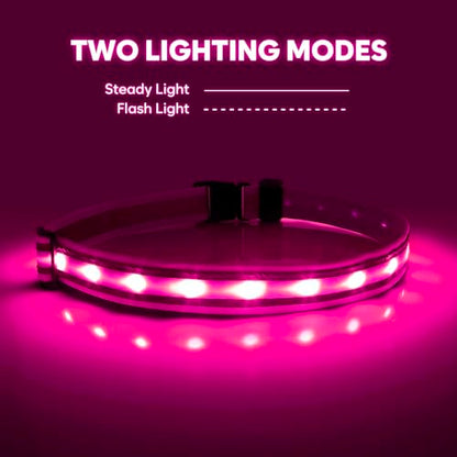 Illumifun LED Running Belt - USB Rechargeable Light Up Sash, High-Visibility Elastic Waistband Light for Running Cycling Hiking Camping Nighttime Activities - color: Candy Pink
