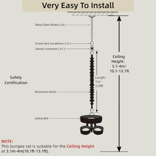 Bungee Fitness Set,CE Certified 6 Sizes(88-220 lbs)Bungee Cord Kit - size: XXL 198-220 lbs